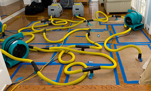 Professional Water Extraction technician working in Saint Charles, MN